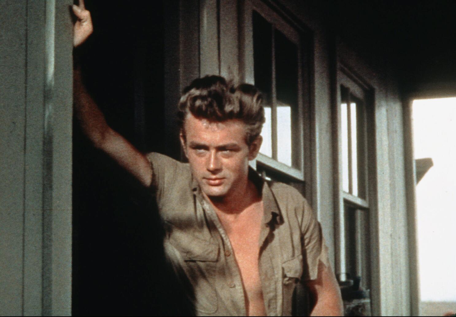 charlene mcleod add James Deen House Raid photo