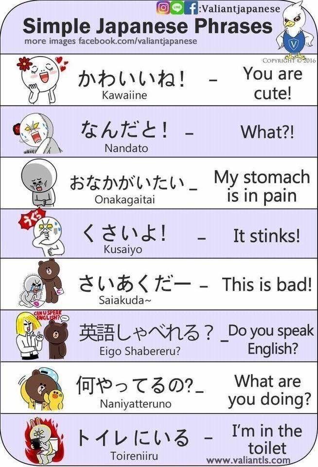 dina chammas add Japanese To English Porn photo