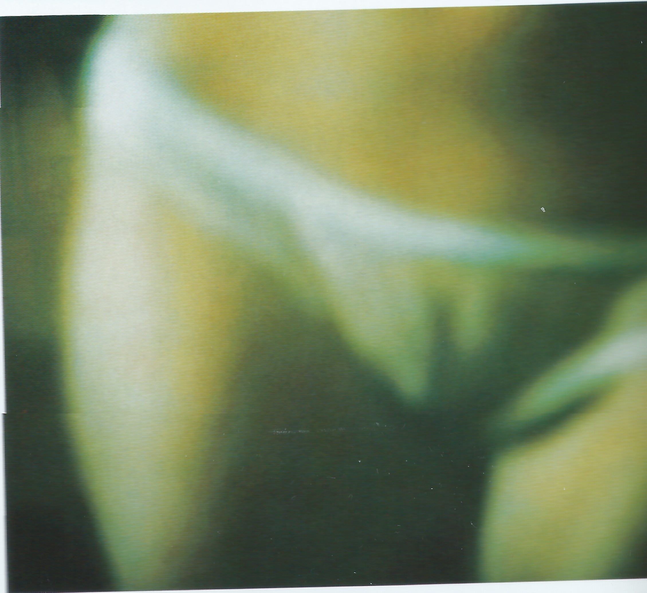 cody yong add Kylie Minogue Naked photo