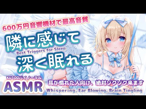 dina ligo add Macoto Asmr Porn photo