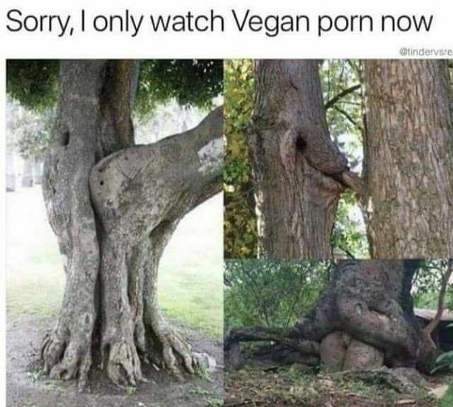 alijah morton add Memes With Porn photo