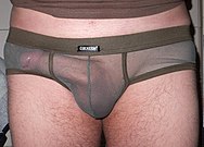 danielle briles add Men With Erections Pics photo