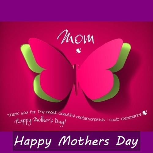amy forse add Moms Dp photo
