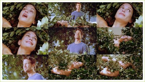 adam bousquet add Naked Desperate Housewives photo