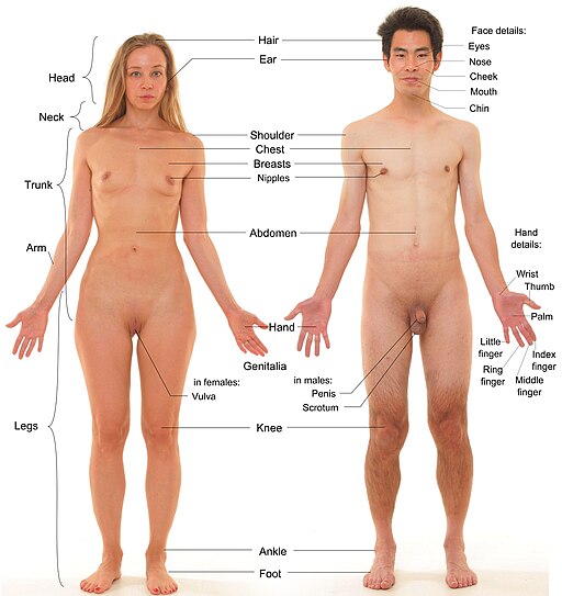 amilcar campbell add Naked Man On Woman photo