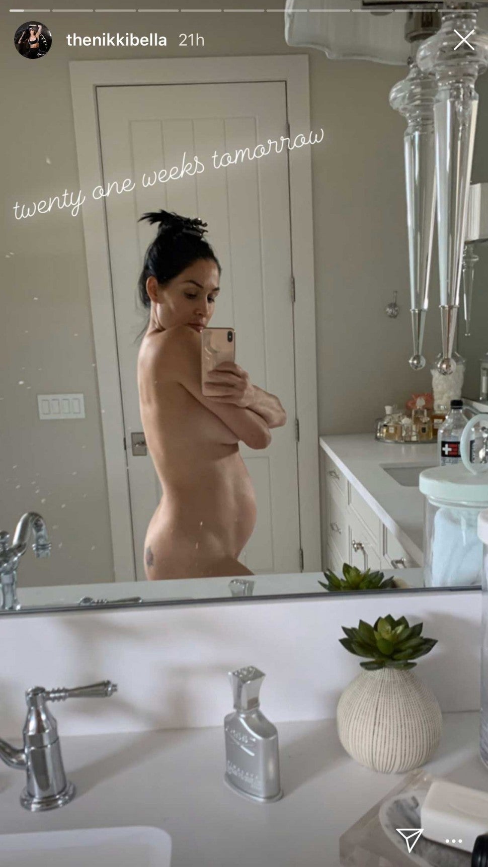 dawn hoyt add Naked Nikki Bella photo
