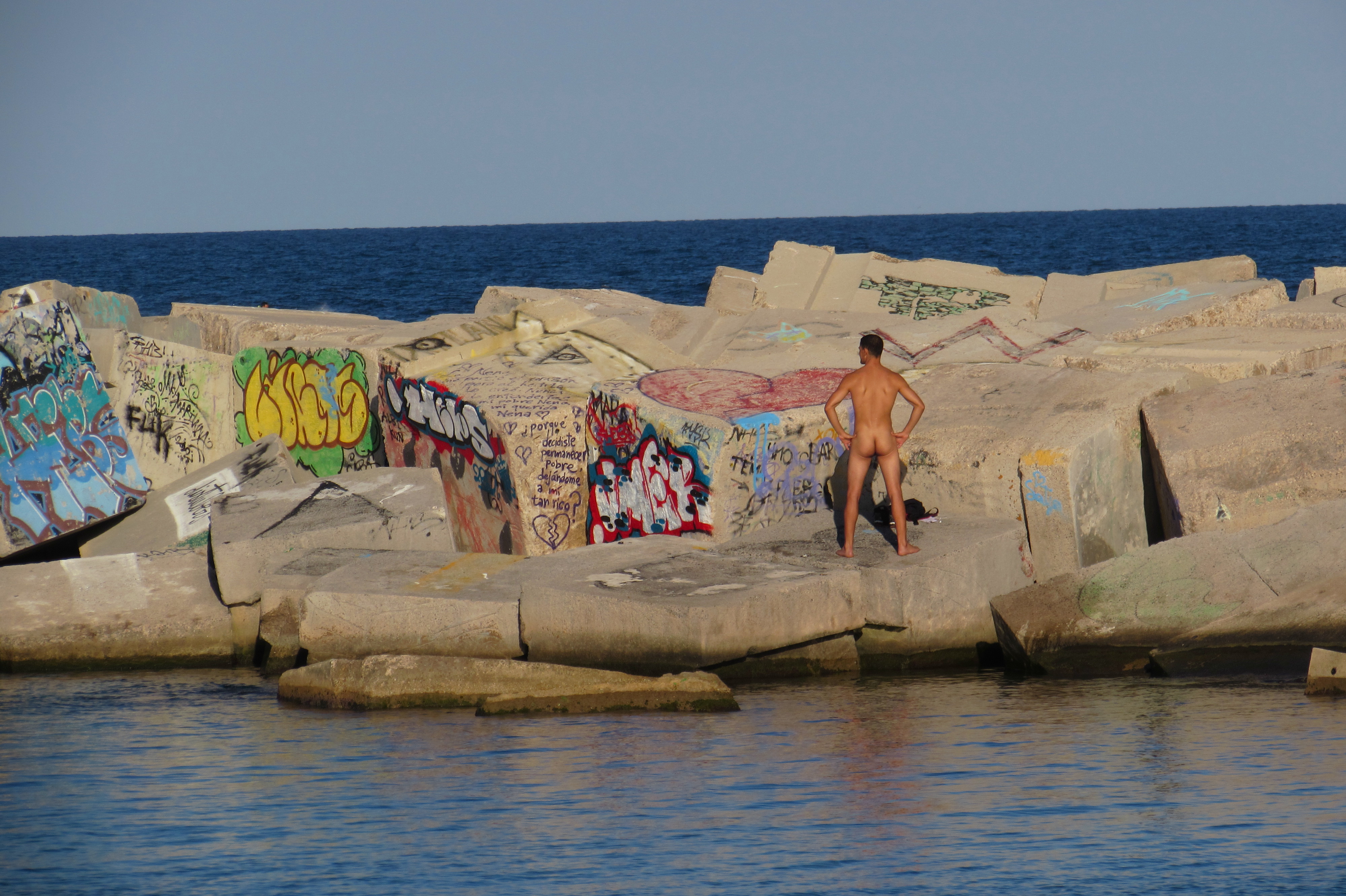 daniel c shaw add Nude Beach Dream photo