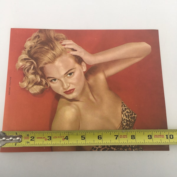 bob sedgwick add Nude Girlie photo