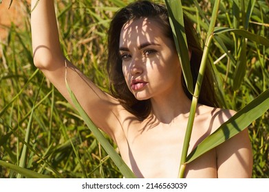 curtis cote add Nude In Park photo