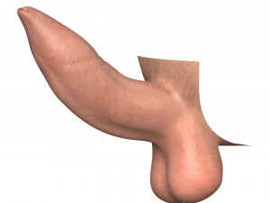 cindi carnes add Pictures Of Big Erect Penises photo
