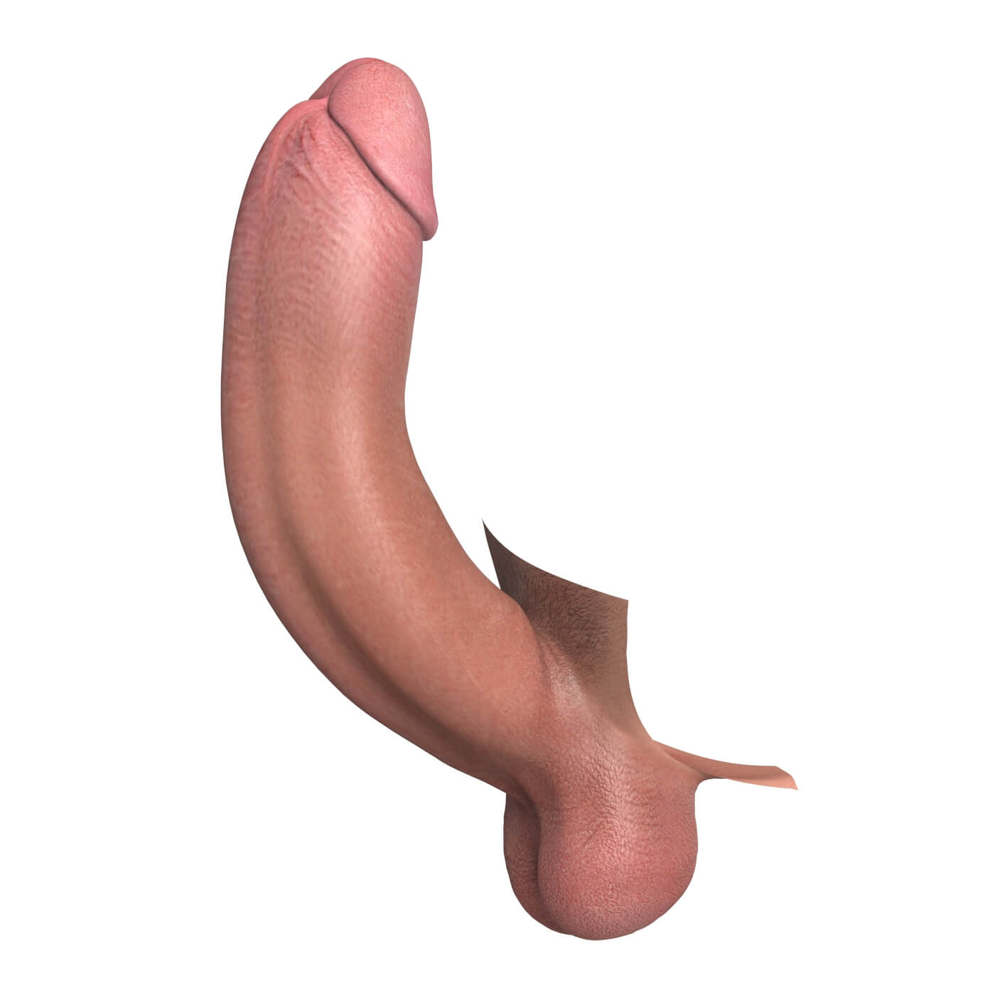 Pictures Of Big Erect Penises 6086