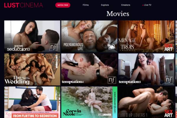 bassant emad add Porn Movies And Stories photo
