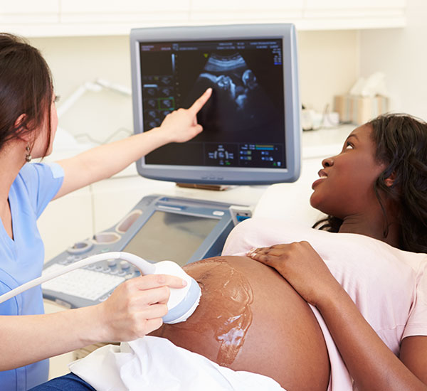 dakota lomax add Porn Ultrasound photo