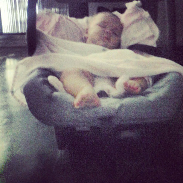 brandi perriguey add Primita Dormida photo