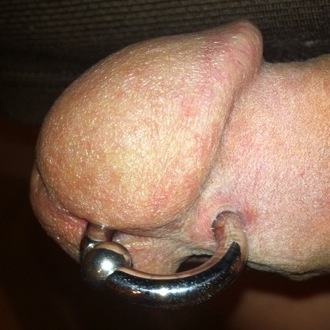 cerrone lewis add Prince Albert Piercing Video photo