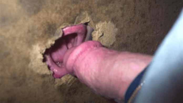david postlewait add Real Gloryhole Experience photo