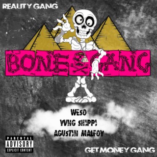 david paul taylor add Reality Gang Com photo