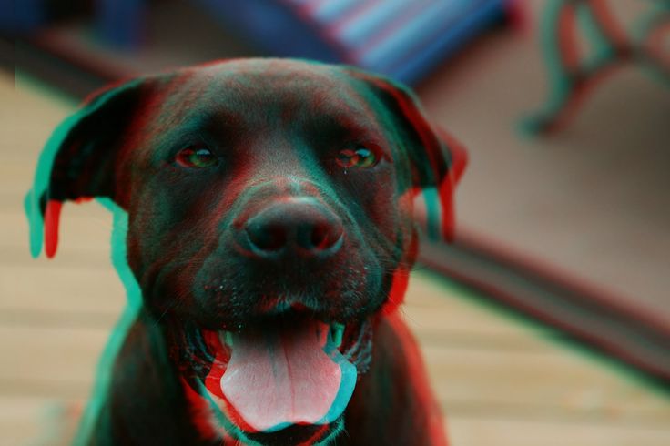 carl streator add Red And Blue 3d Porn photo