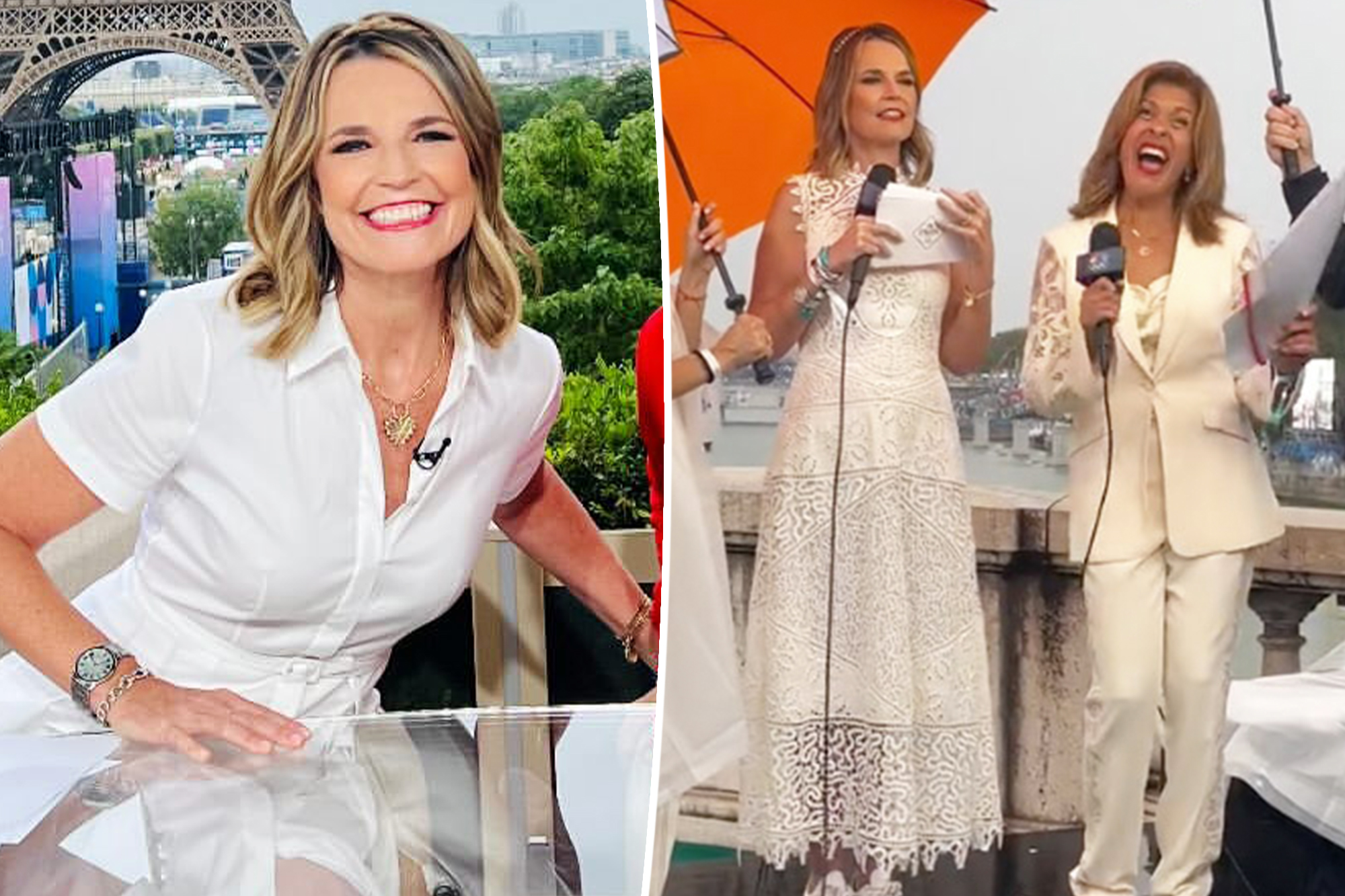 afshan irfan add Savannah Guthrie Sexy photo