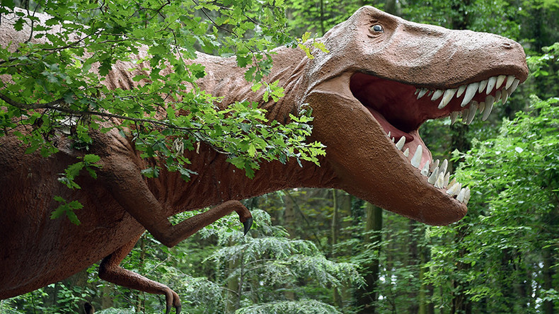brady rinkle add Sex Dino photo