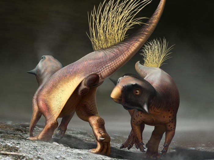 adriana alvarado add Sex Dino photo