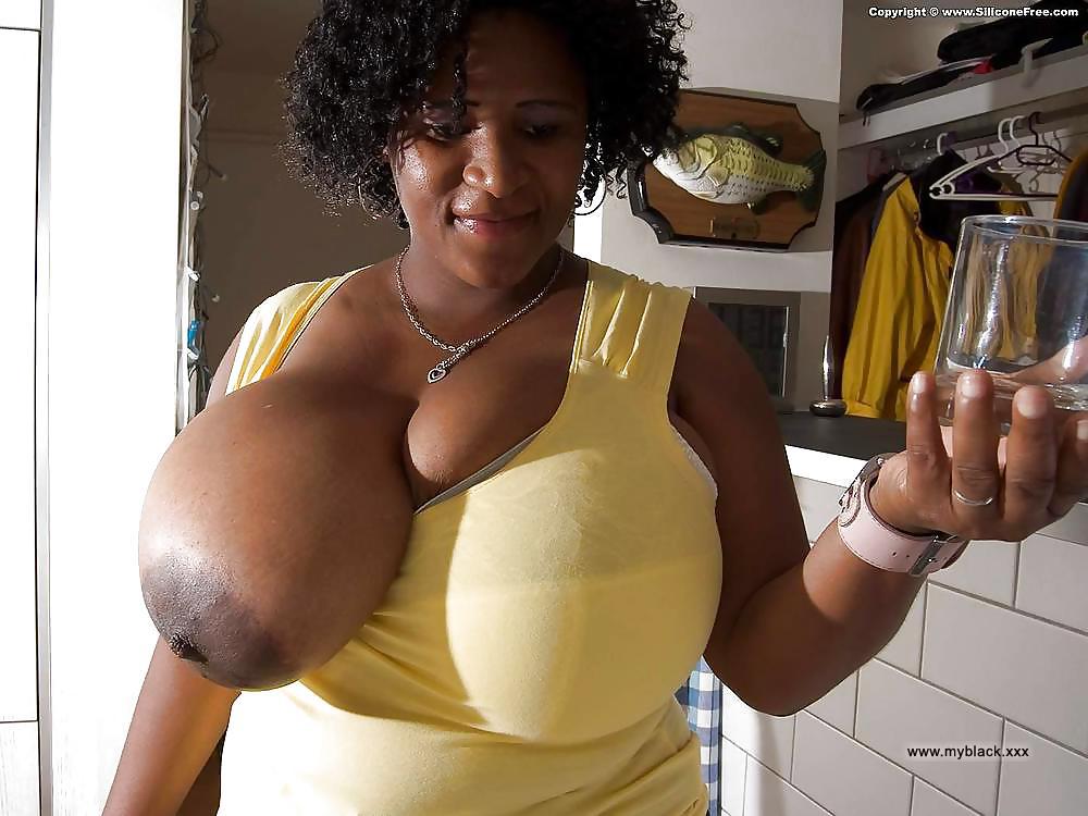 david evinger add Sexy Ebony Bbw Porn photo