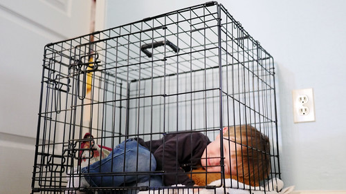christopher levi add Sneaky Squirty Plaything Gets Caged Anal photo