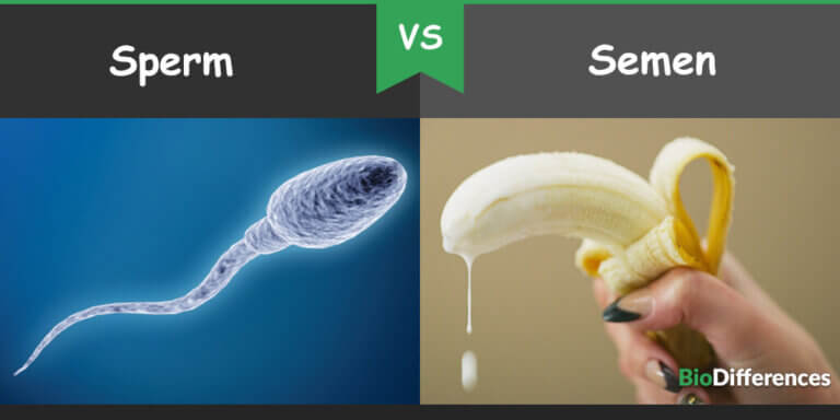 anne flack add Sperm Of Grandpa photo