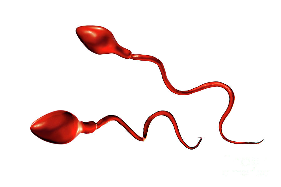amoy maya add Sperm Of Grandpa photo