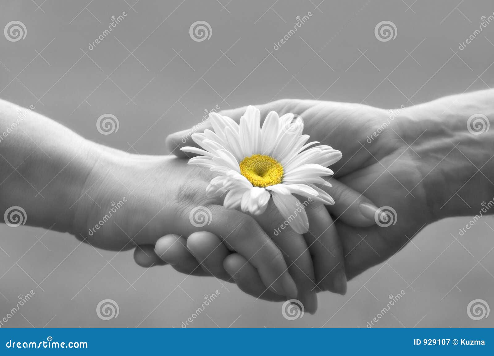 amila nirmal add Tender Lovemaking photo