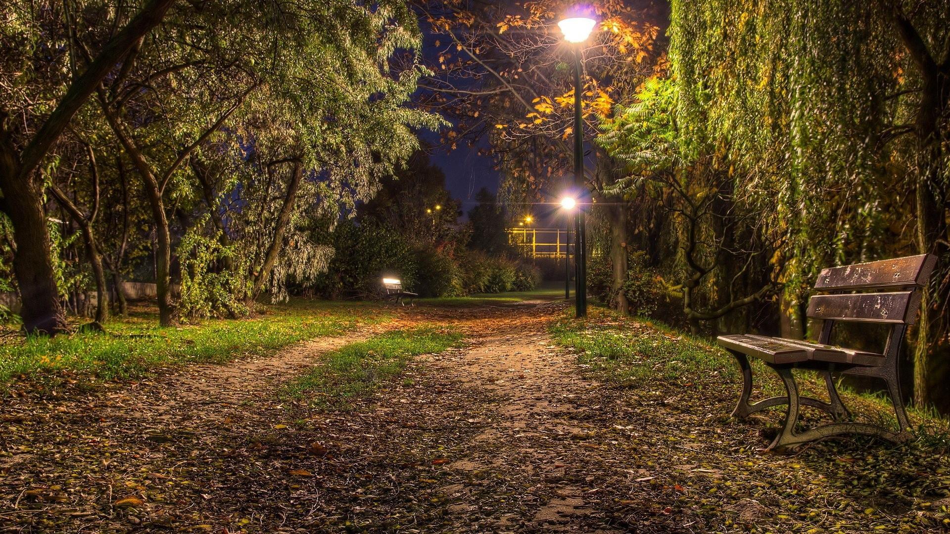 daniel manseau add Voyeur Park photo