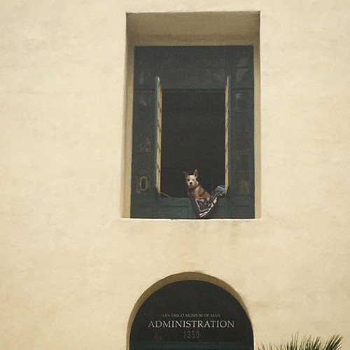 danielle dreyfus add Voyeur Park photo