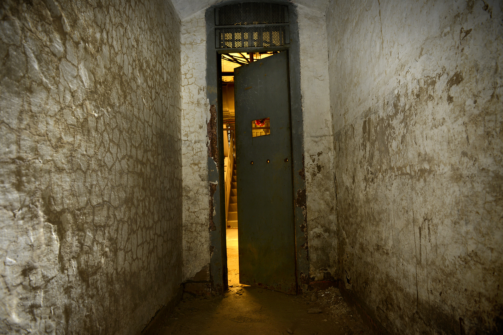 albion aleksi add West Philly Dungeon photo