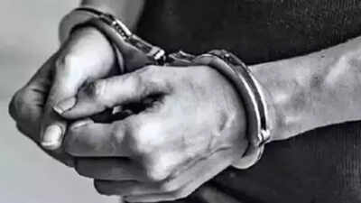 Woman Groped On Bus 11404