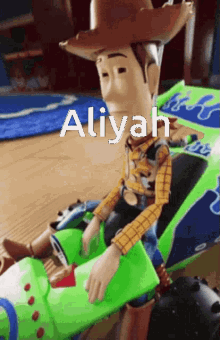 Woody Dap 3866