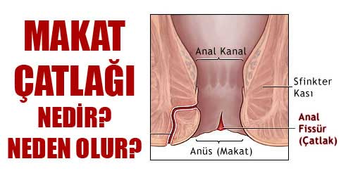 carol yeoh add Yanik Anal photo